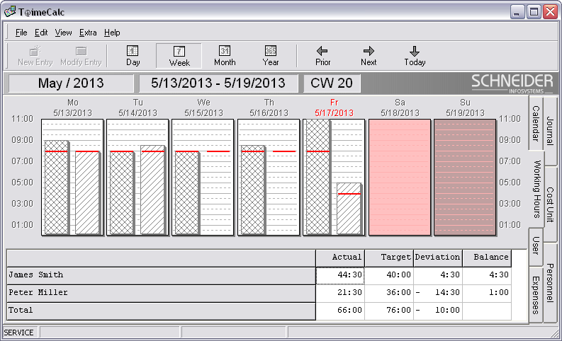 Target and Actual Working Hours Comparison for the single Collaborators